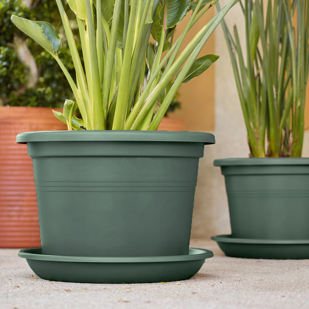 20368f78c9108693ddbc05f8efbc6914