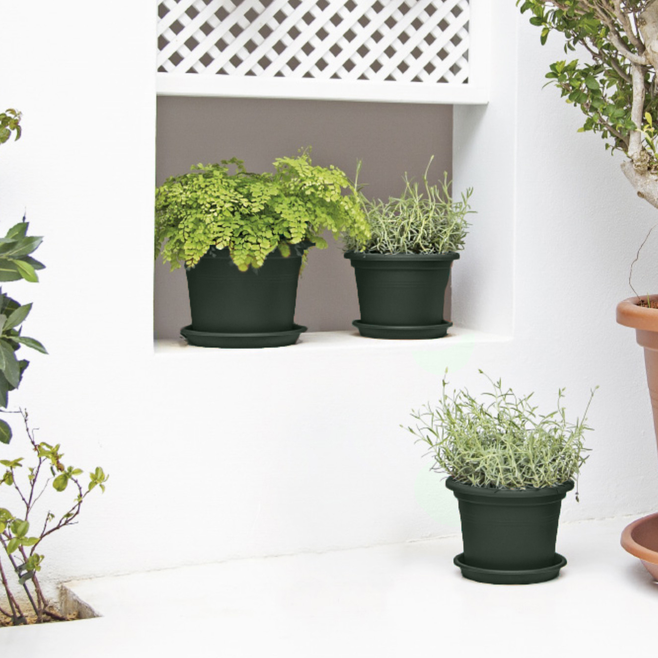 1b256ad8e07a5cbcf744d7c923439685