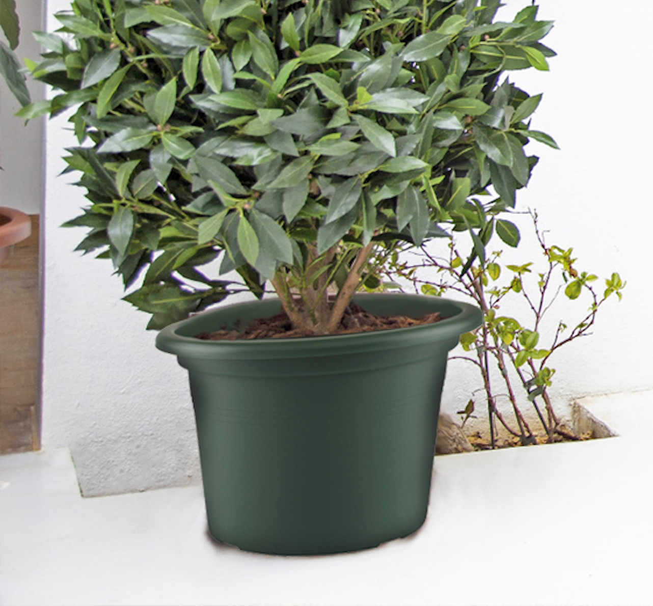 2644d561d725911b8add0d81208cc149