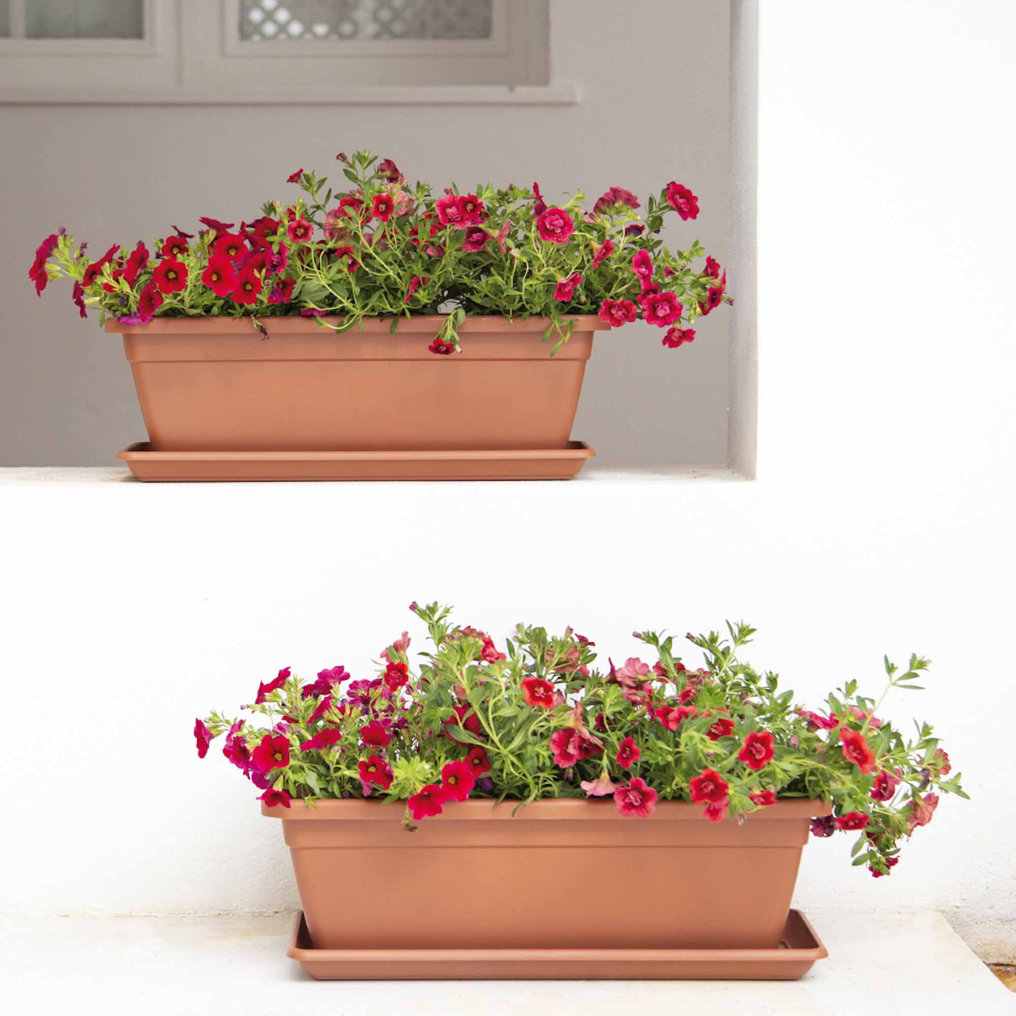 204a9002b6dd3115cb00f34ec3a38d09