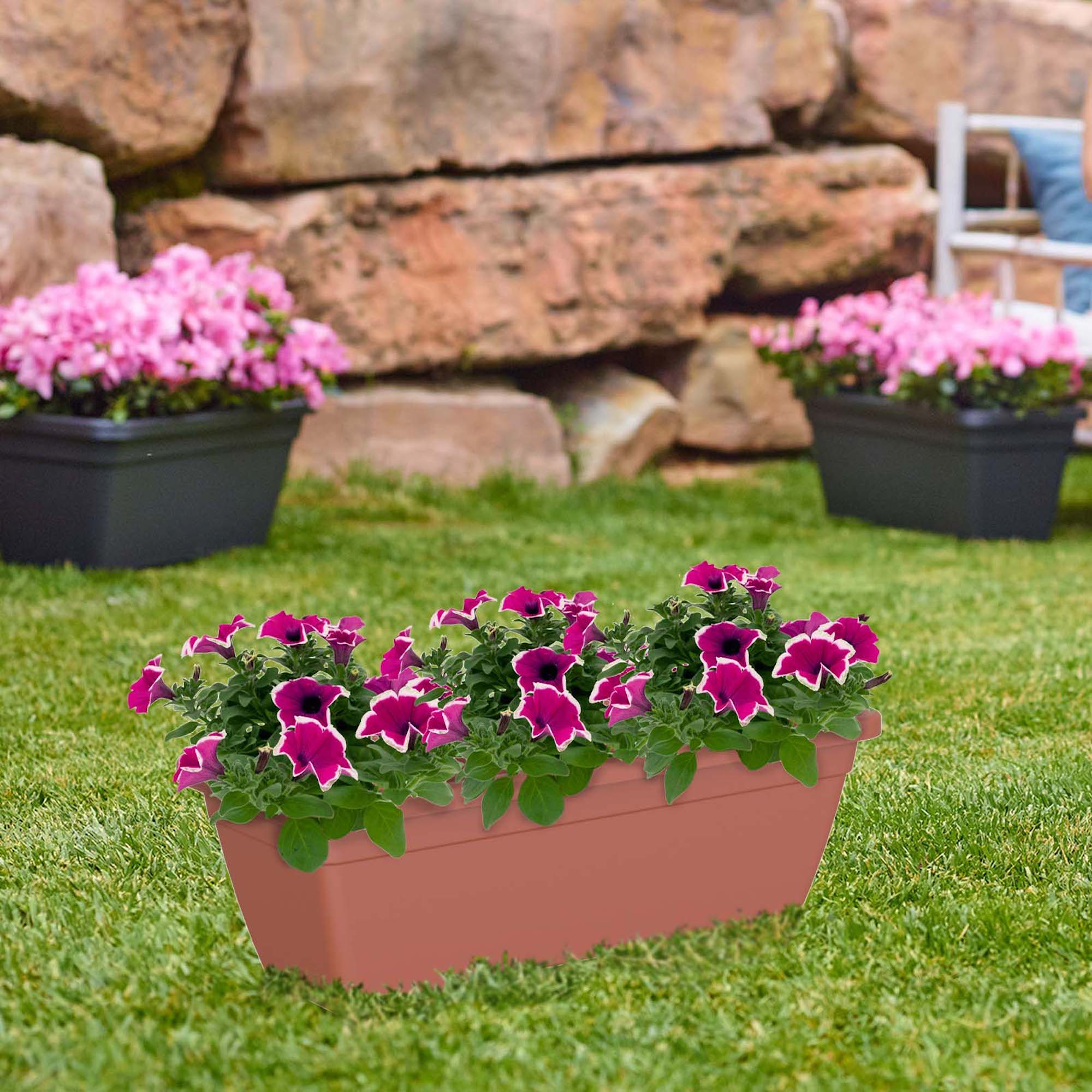 fe1ae12460b24214f8ee7167d4ce8df8