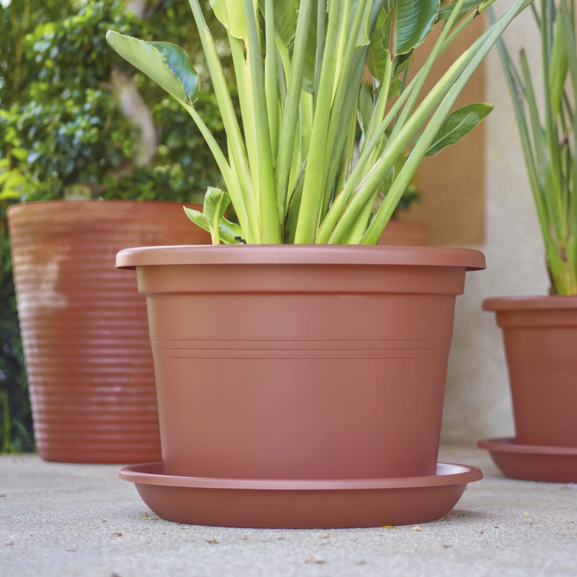 a2ee76f51f2de49411ed7a1f57554bd9