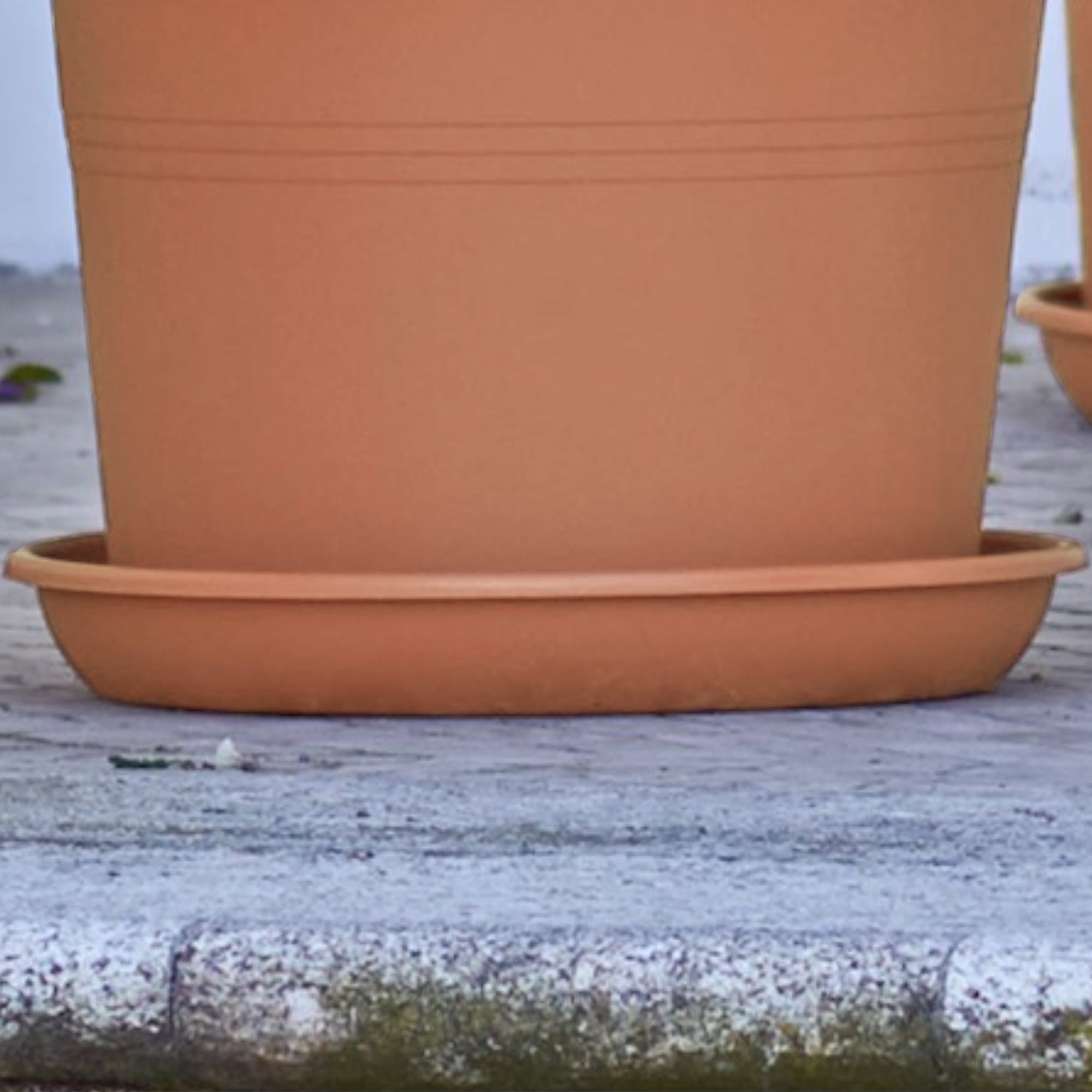 2980ec7bfdfa87bdb7fa633feff81570