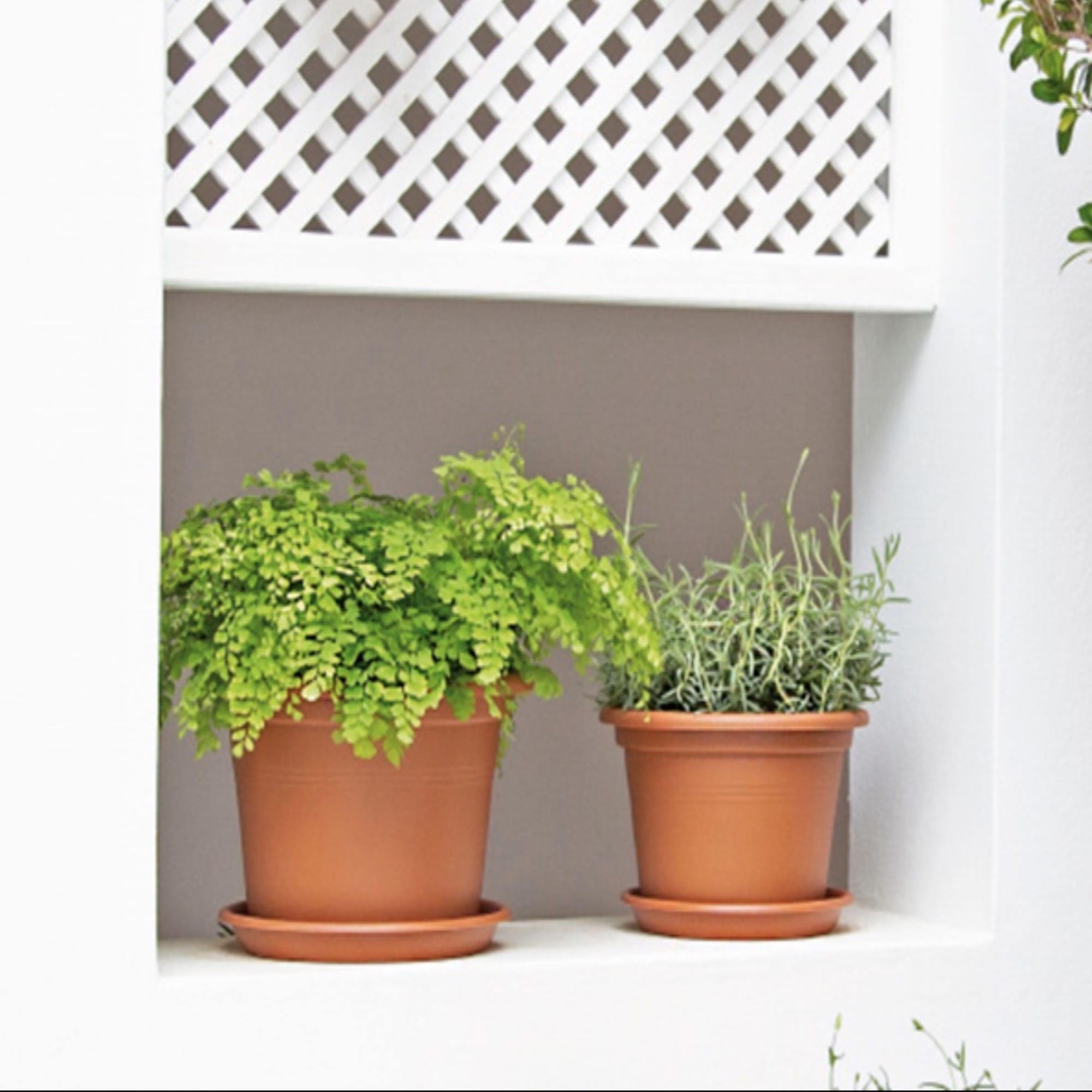 f058a80a424c7bfd90d3324a2a757874