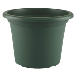 2dbf3b6db9be9d687cfb05cdeb85b2d7