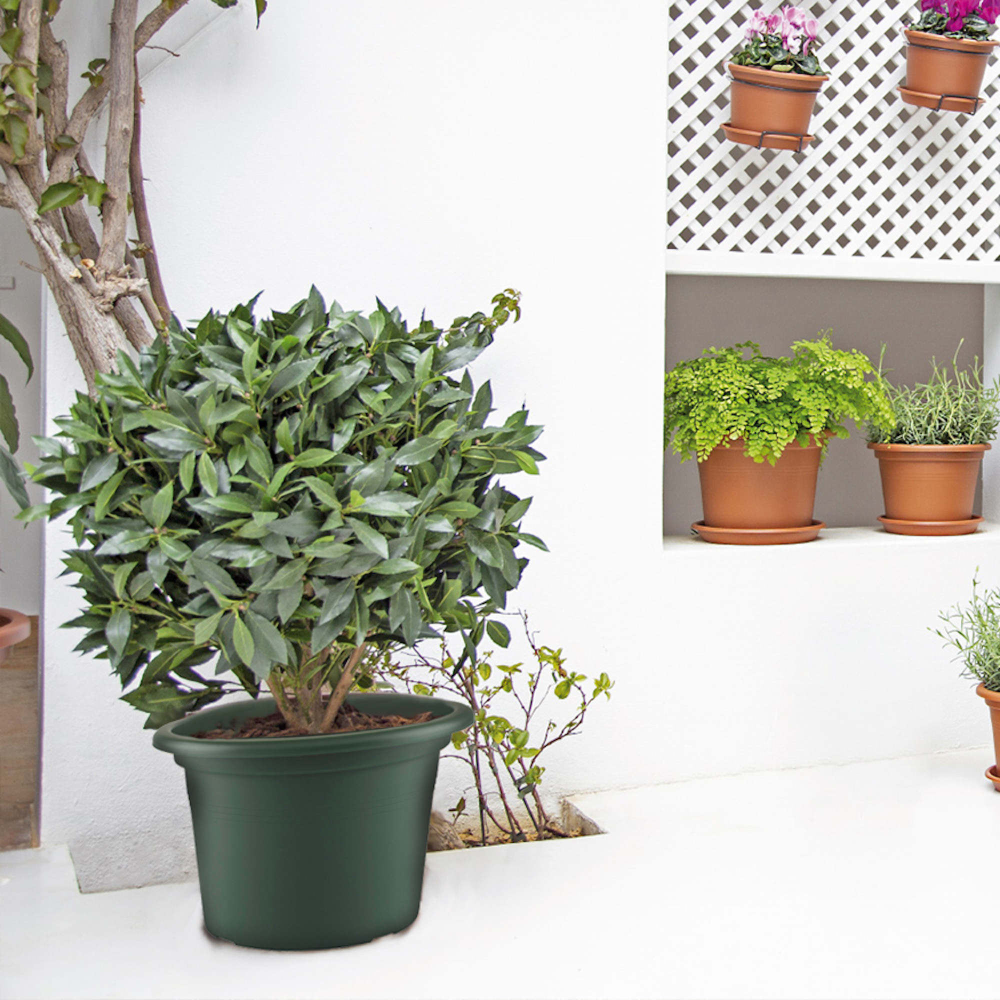 5ba850c6f2fea684dc738af6e690061c