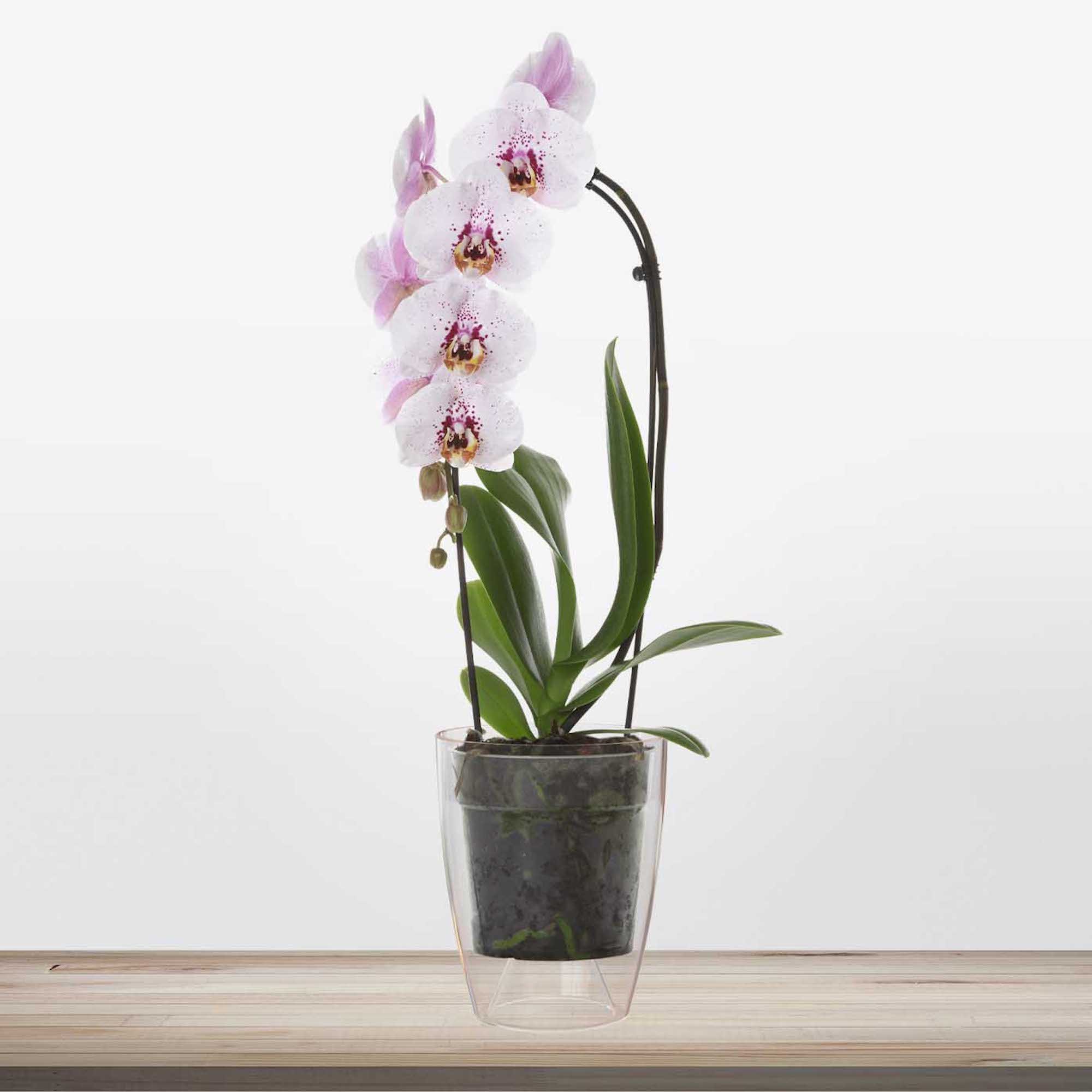 eb38dc8f7c000a299d2725ad3b6d251e