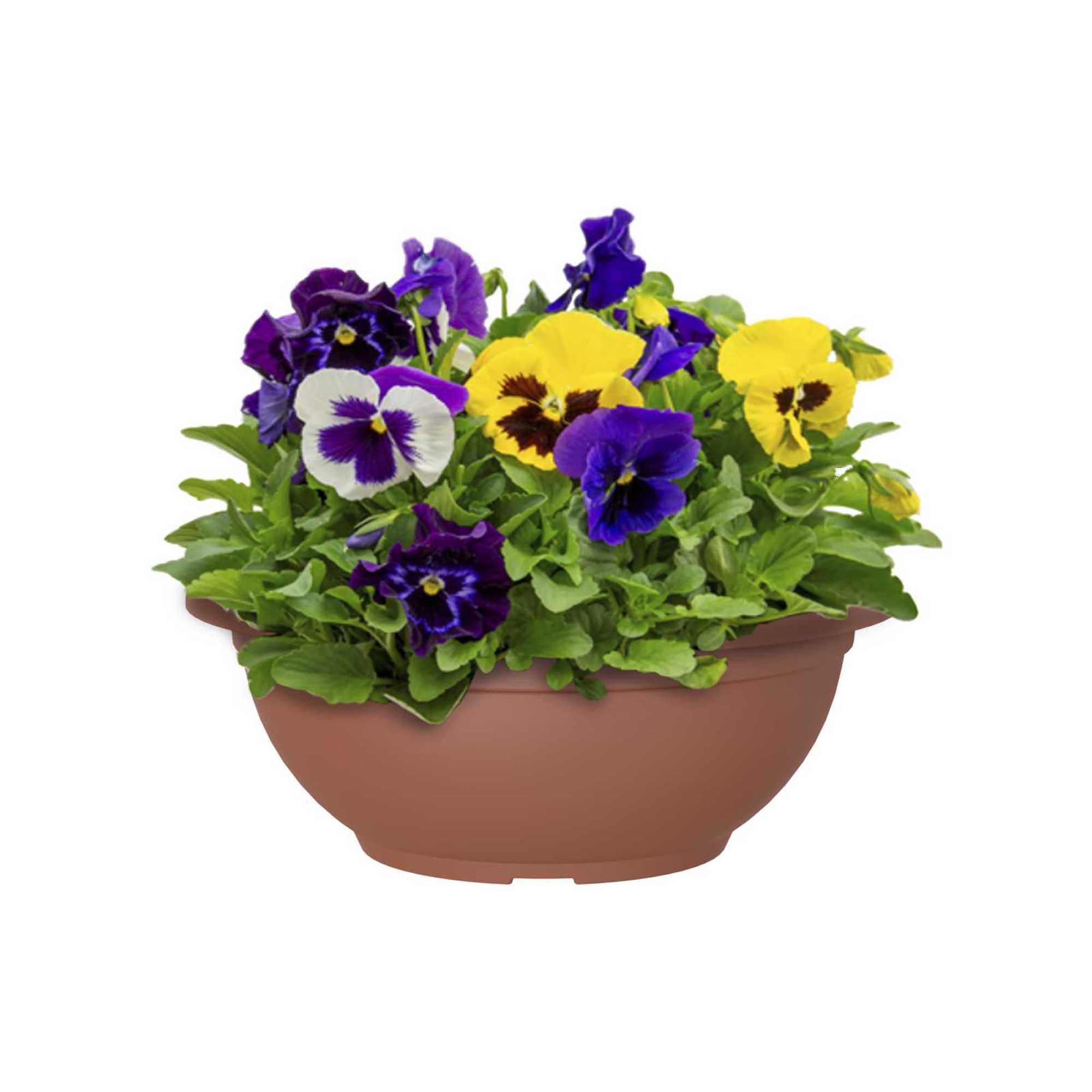 e0c74c70a1609ee4beb4c957721178bf