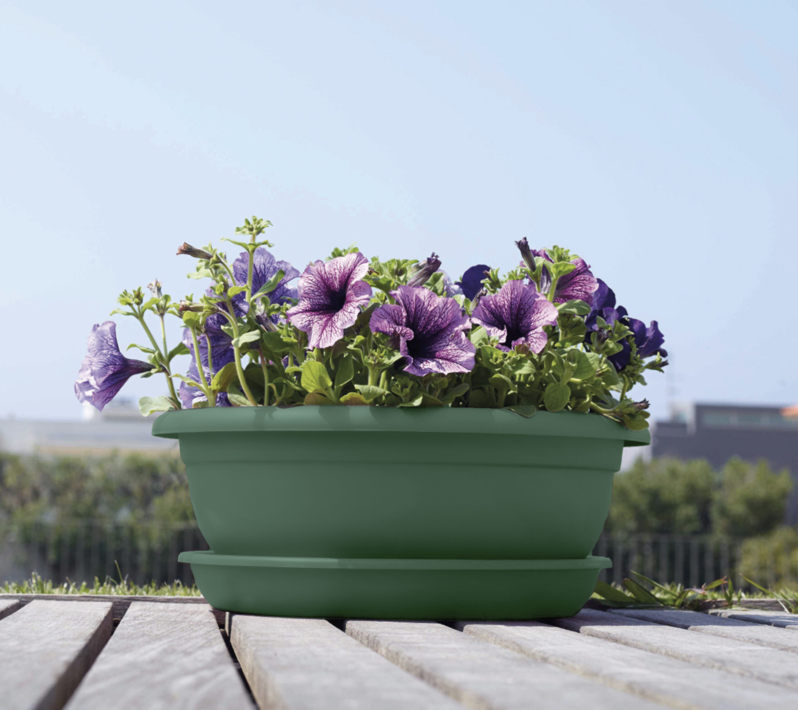 a73d2f59b44c0d05dcd8f7743a46e3dd