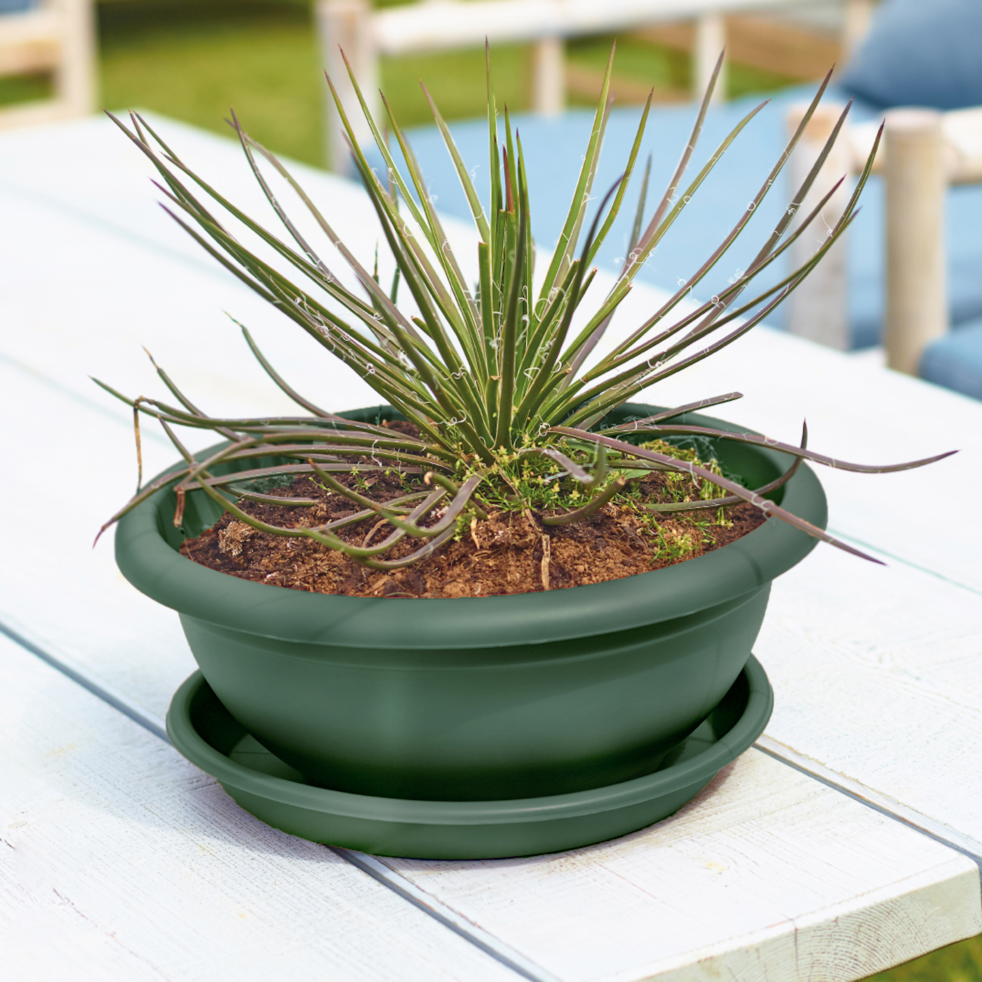 678932342a06f94914ef31fd1caa1694