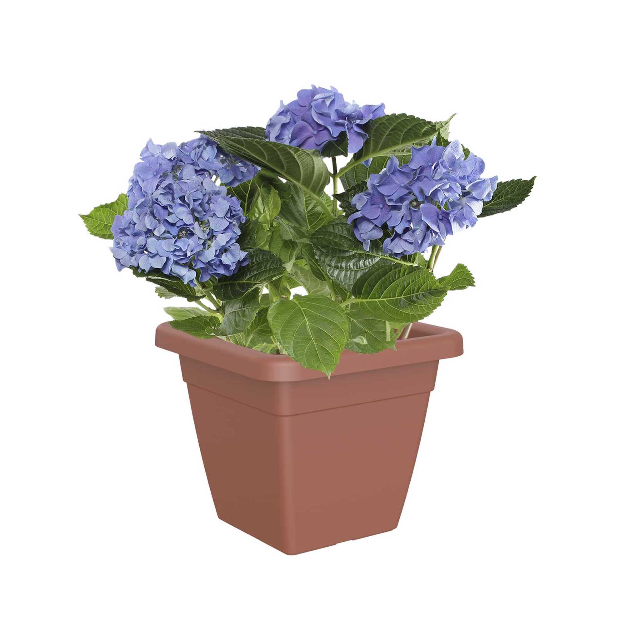 d2054d79ad609241f1e176795ff5e4b1