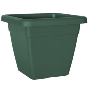 3e242da16f496083a4a36fc4aa6b59da