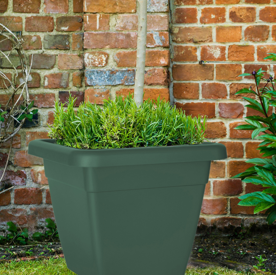 c272516afb1395ecd2333bd88c9e4836