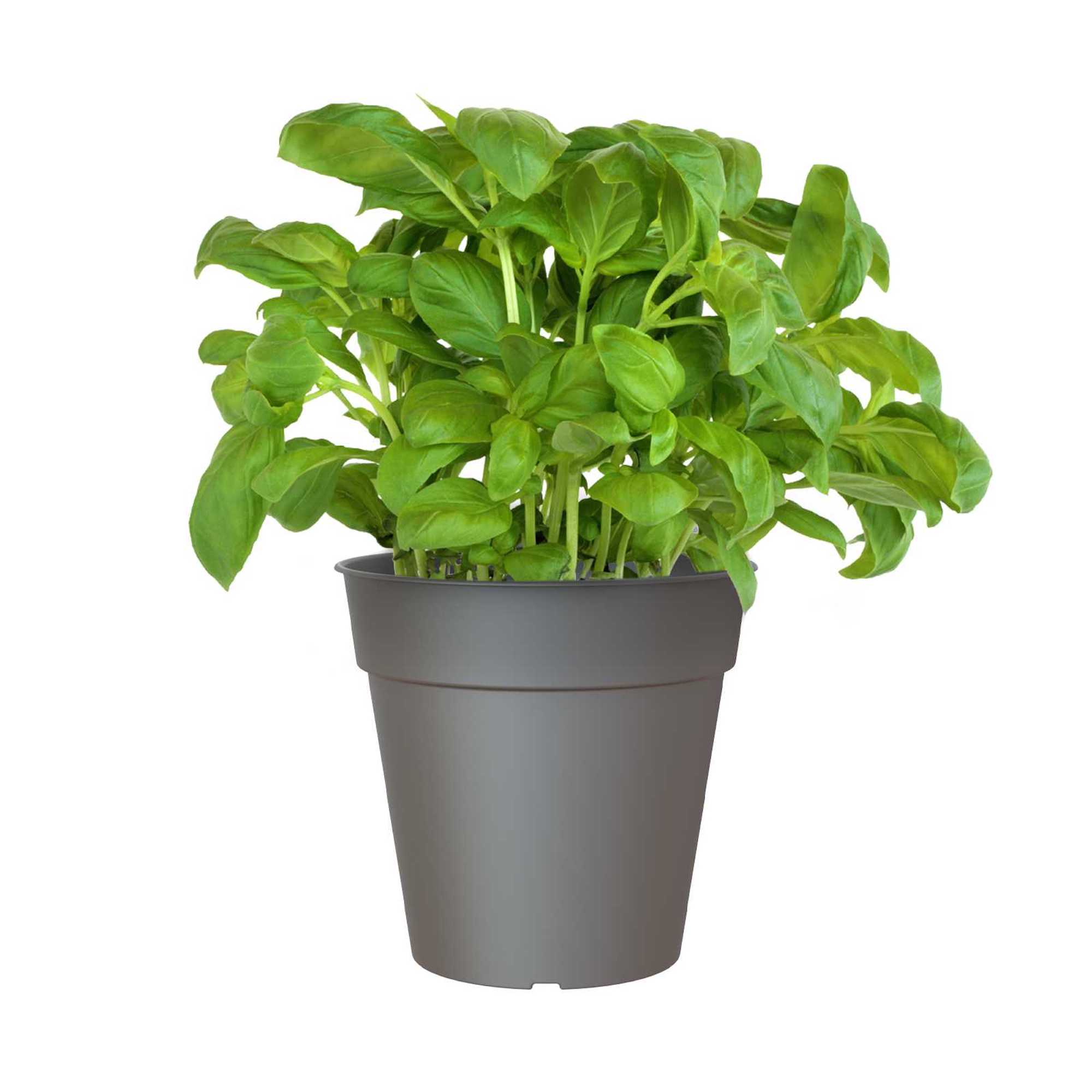 89faeaacf782d5cb6d611bf6c4bb2013