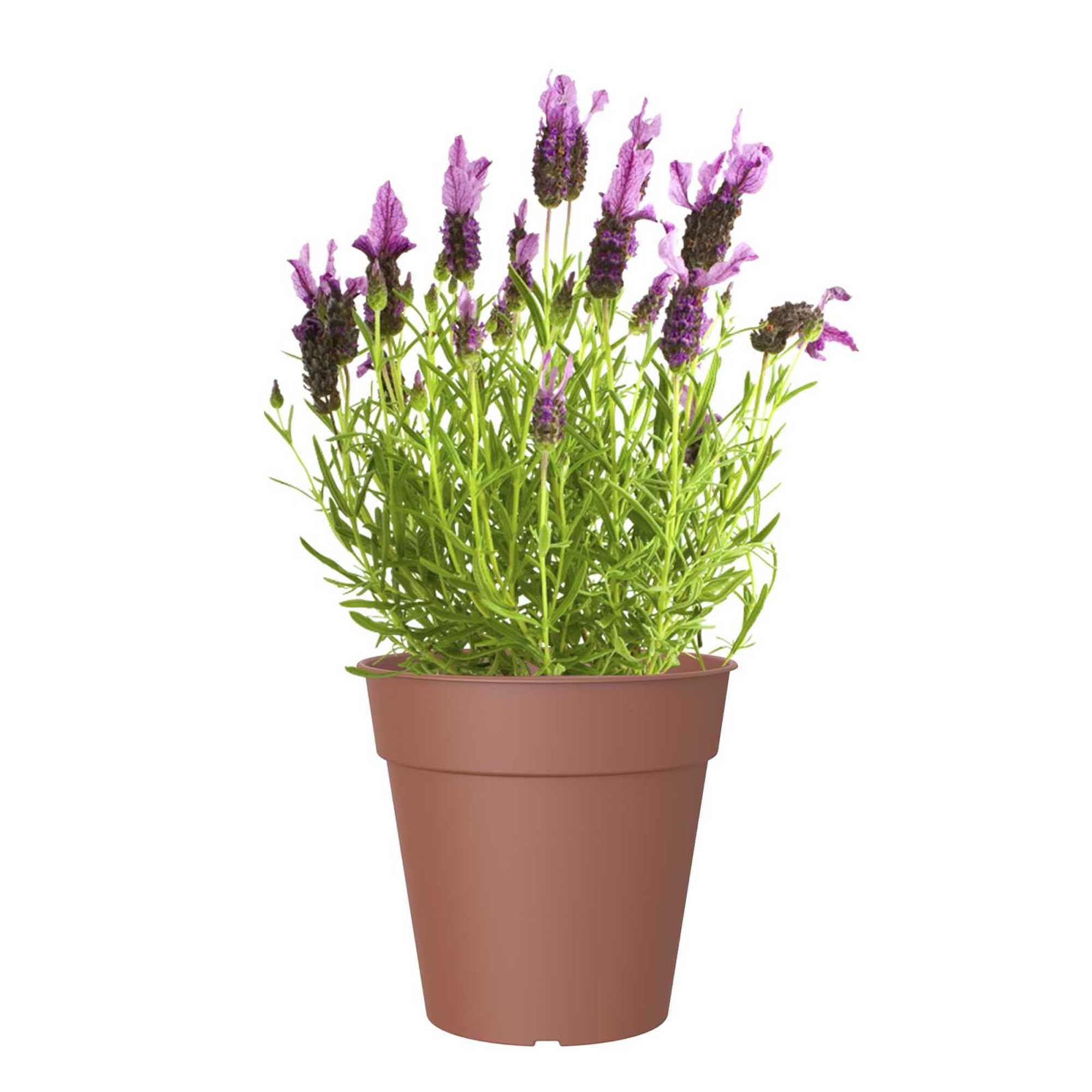 51b84b0448e877e892a3f8e687802a9c