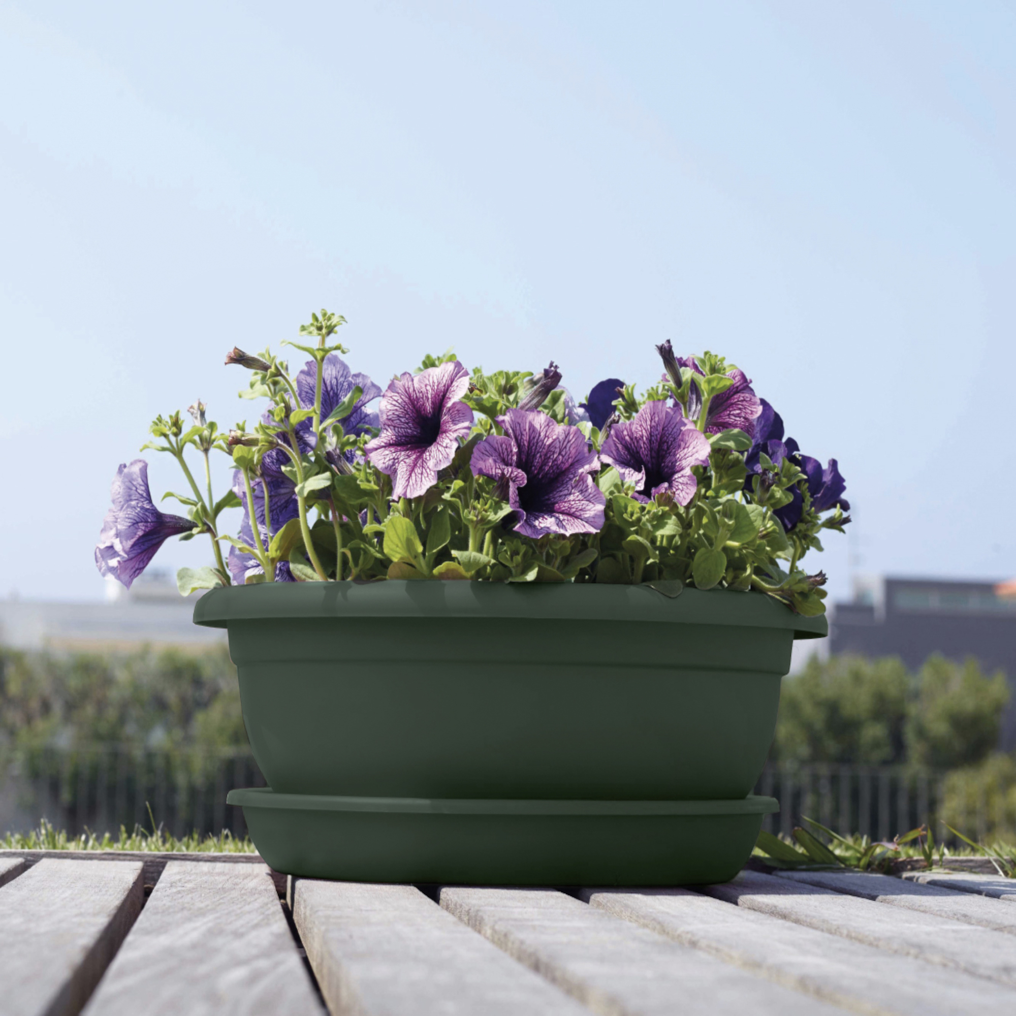 d77ccbf23c3141cc91ac7f3a4698be2d