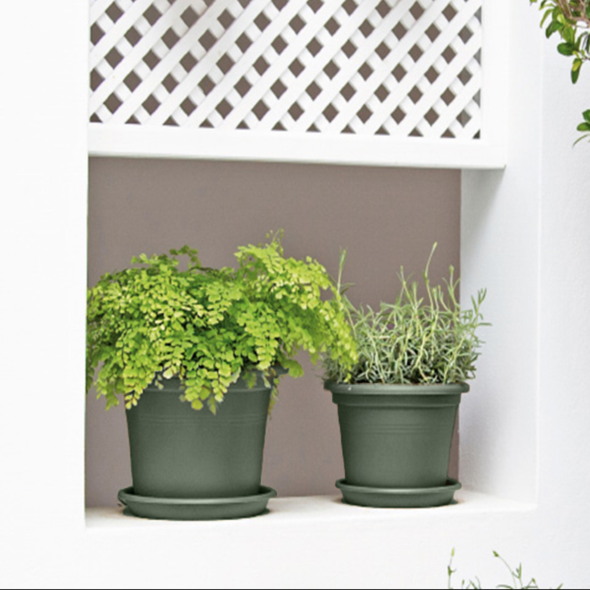 6608928ed5be23c4658ecc64f16d4516