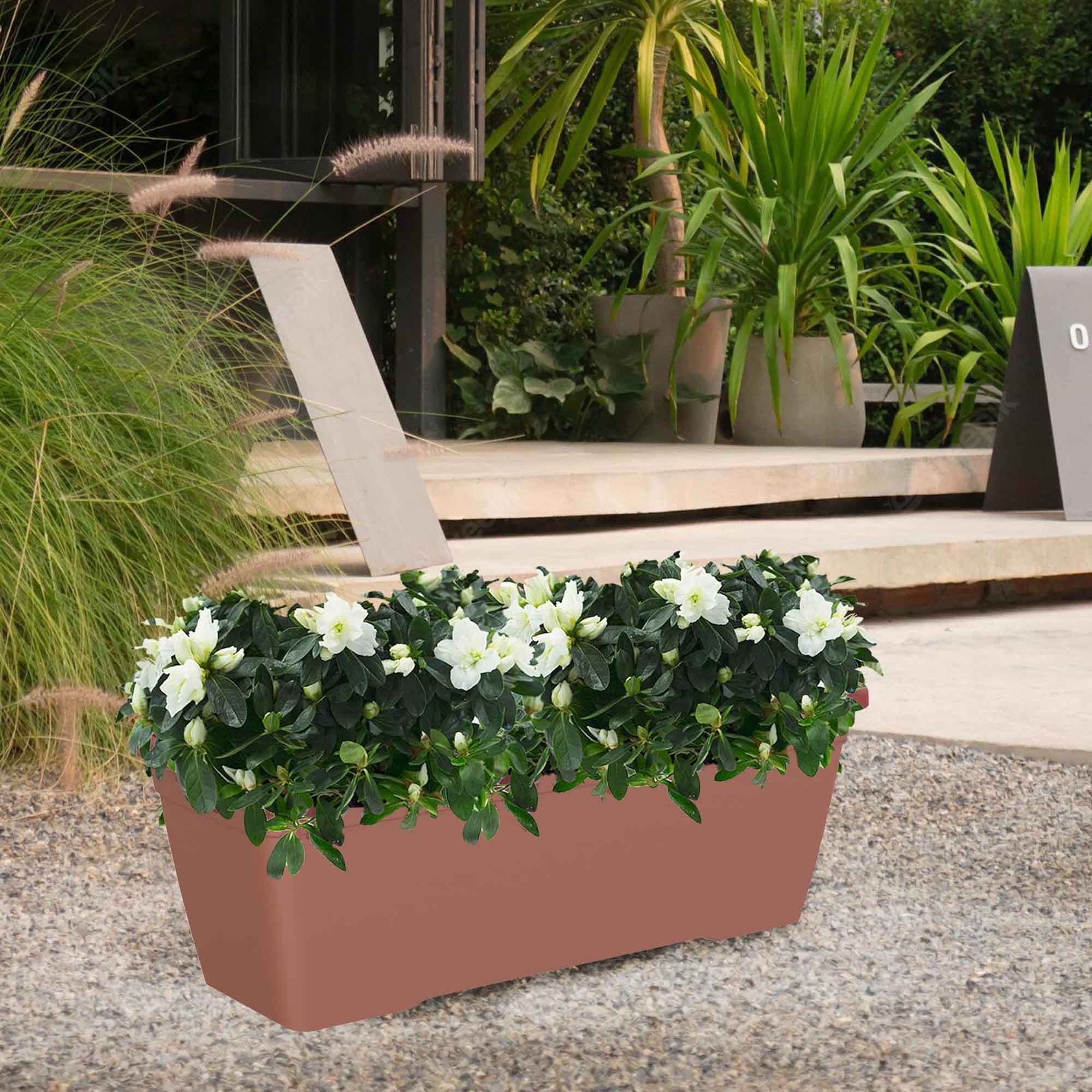 10a98531b0ef2a69425275b54a05c42d