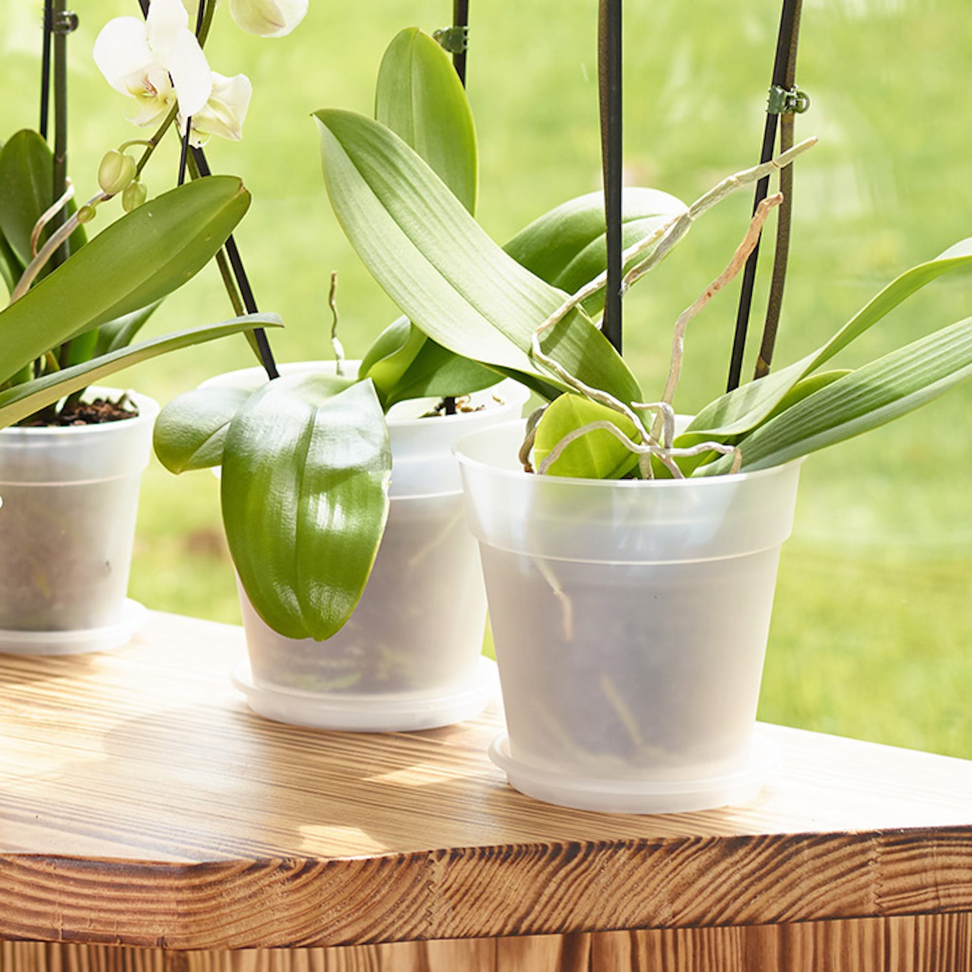 c464c6b51555d5fd99409992bb1ae521