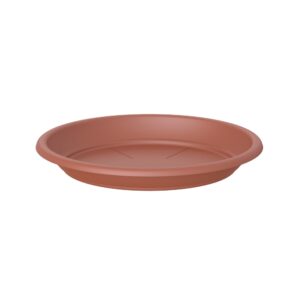 8dce5a880d3598a5eec95900fcae721b