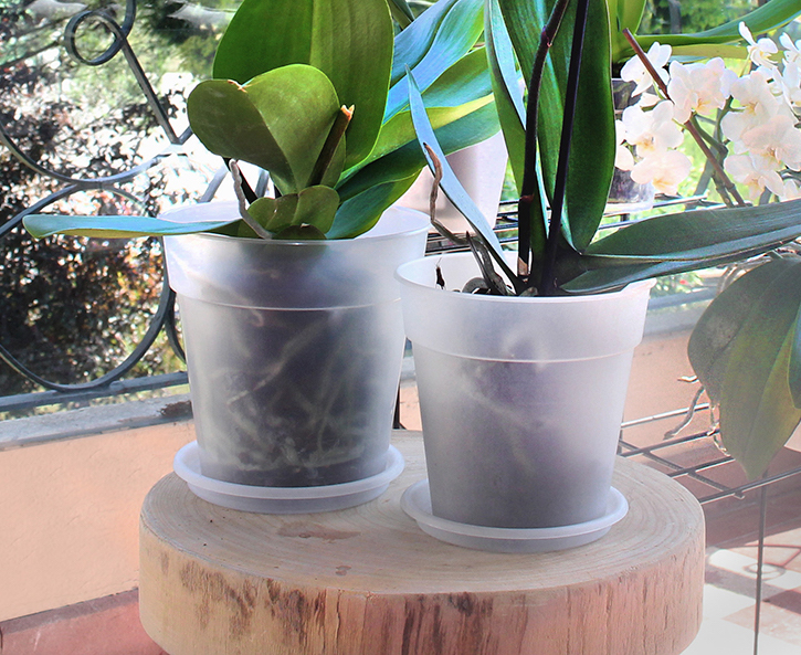 2d7b2f57a0c24c5a62d5ef1e7ef829ab