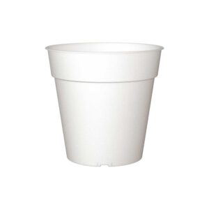 e3ced513f536ccc4b6b334dddd848b27