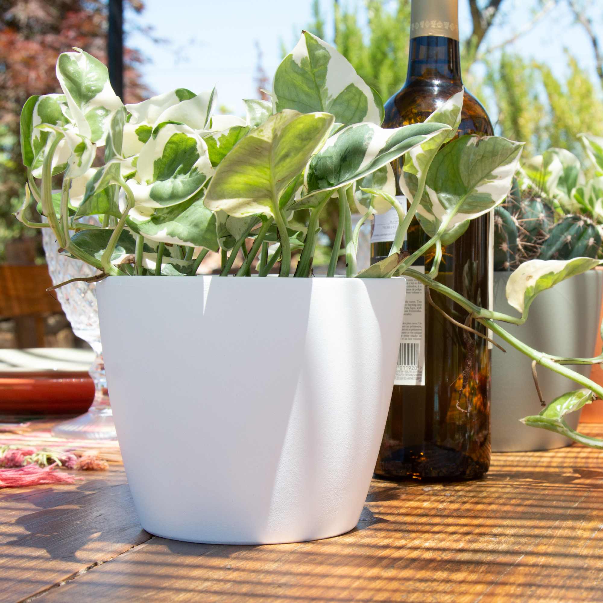 4931db1bc39e2bfefd53be64a672a23a