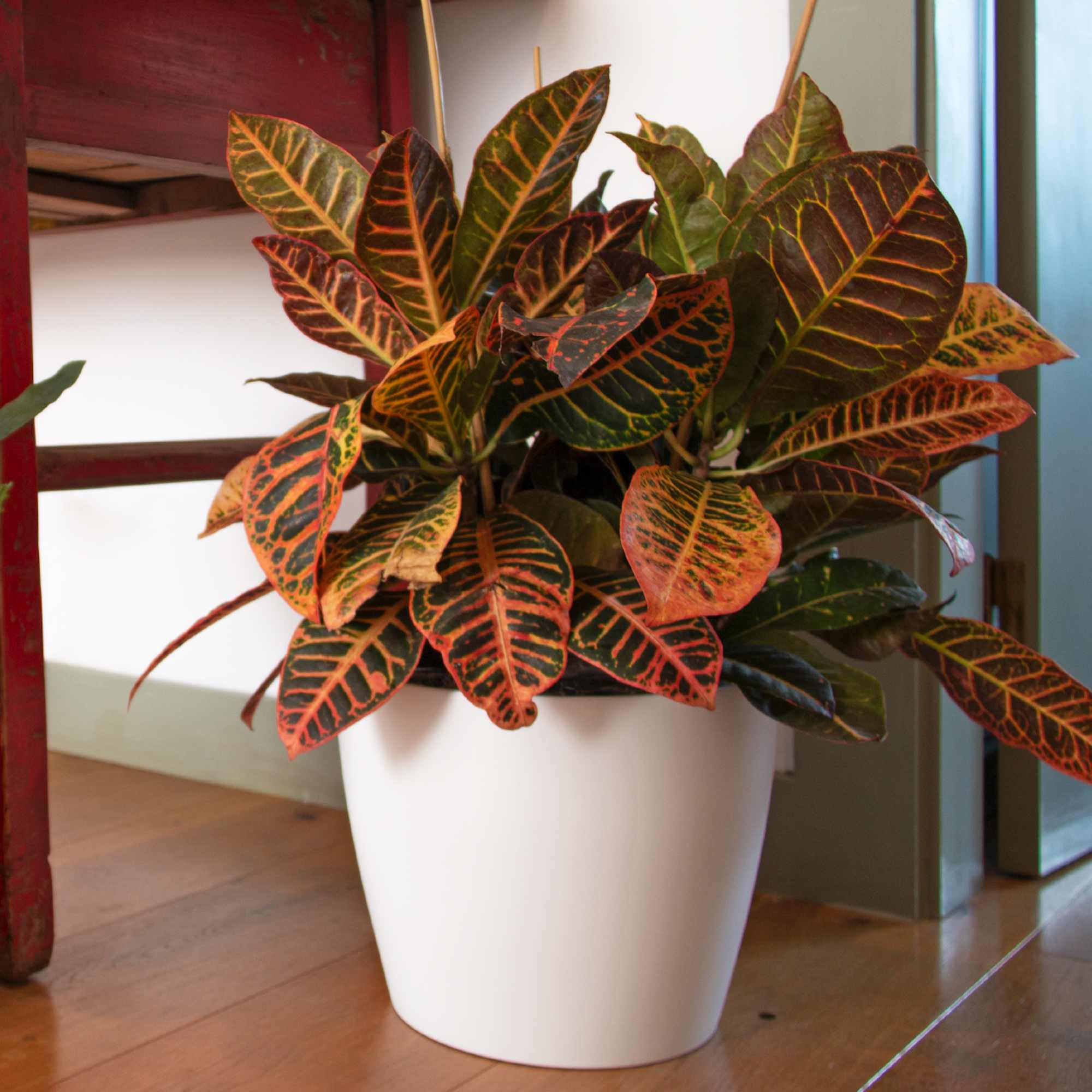 2aff007cfe71da71c340494549cf7464