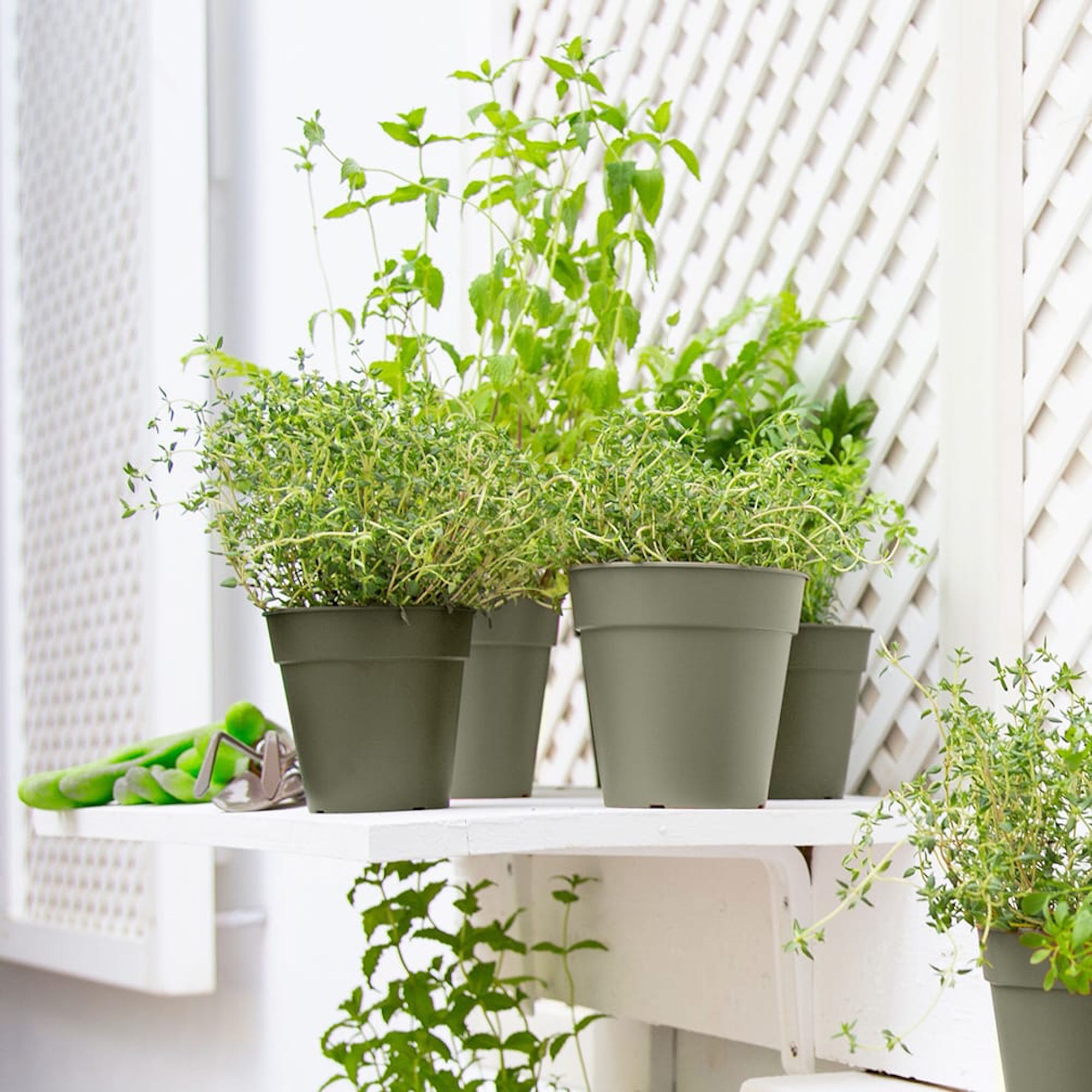 0f7c56bf0f835abba612b70aa0caef26