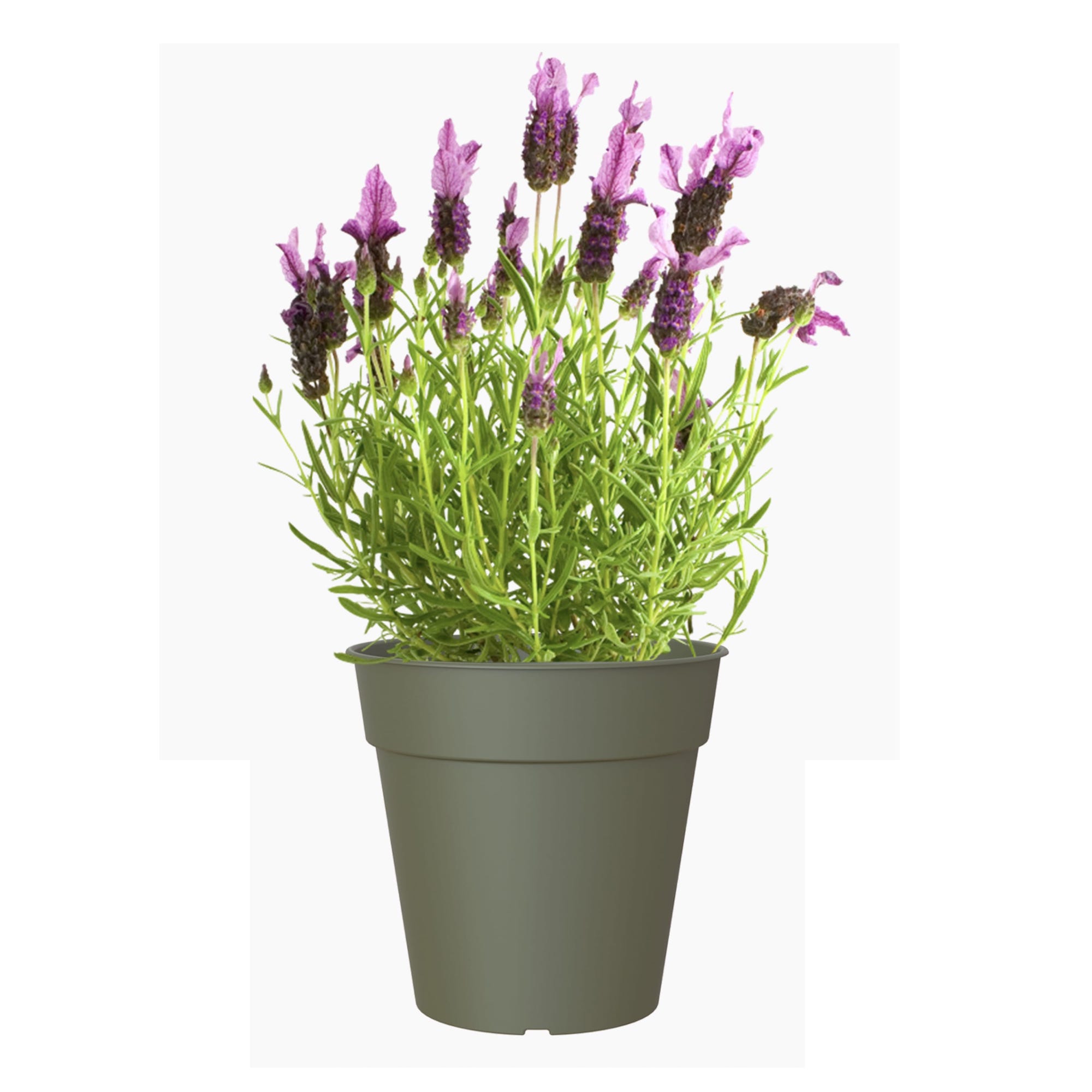 6a680edf04b3a4abbff509bbea4389c3