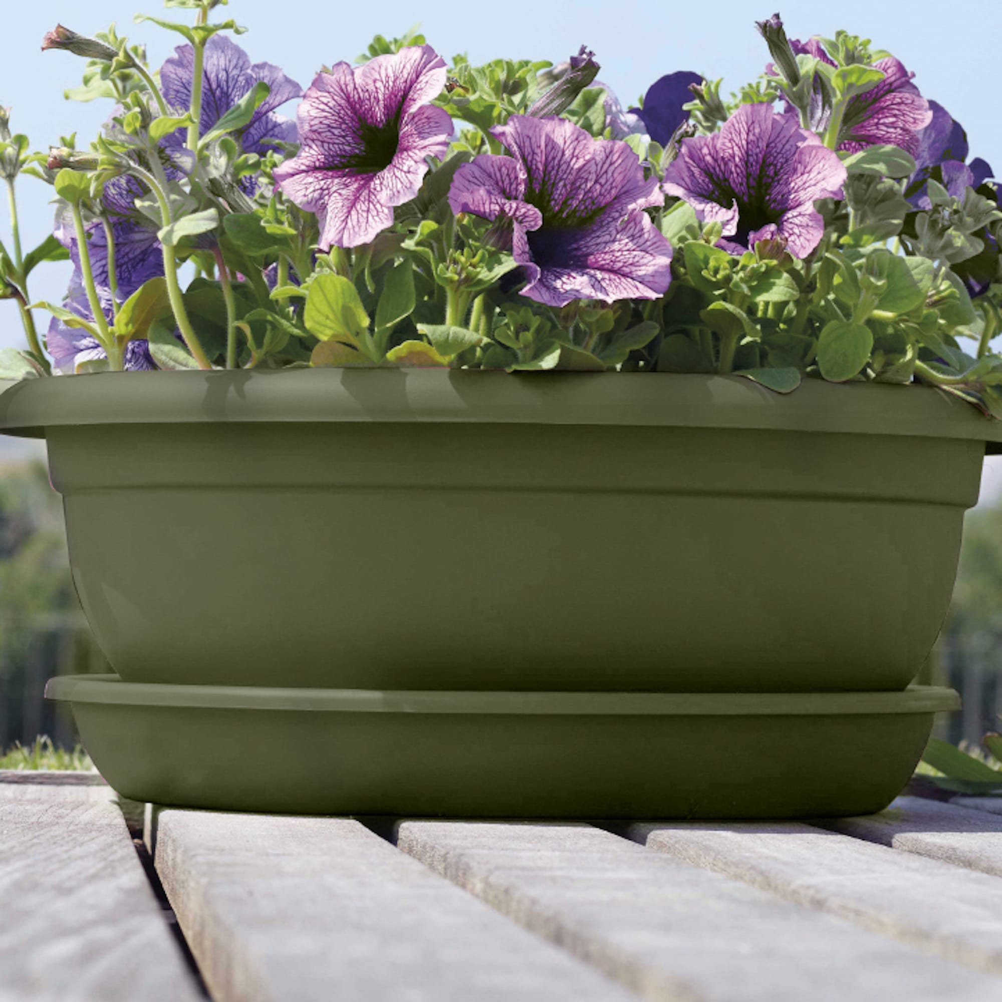 7b18a18a0de9951d06ceb52e21882615