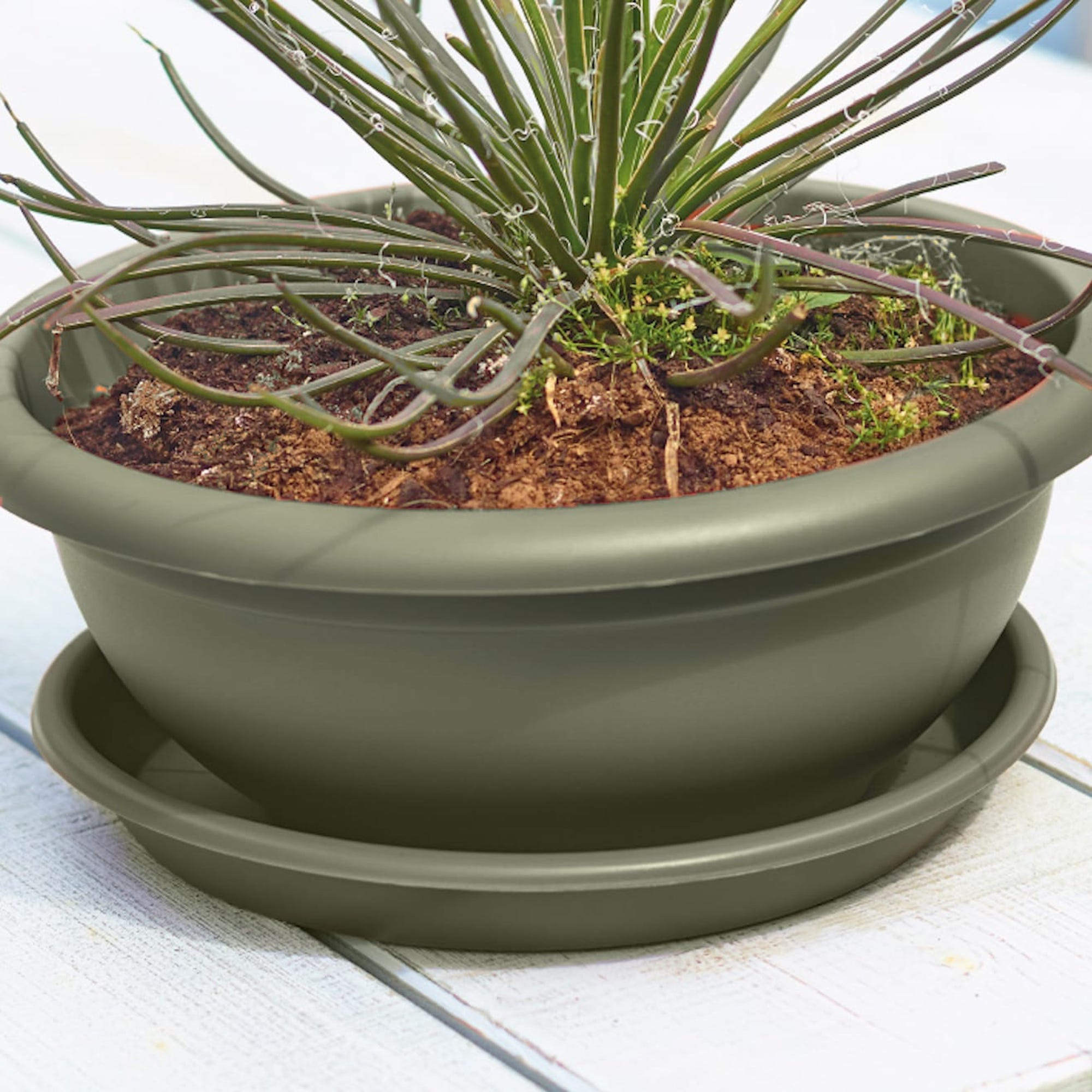 40739c0905d8d368b650946e324948a1