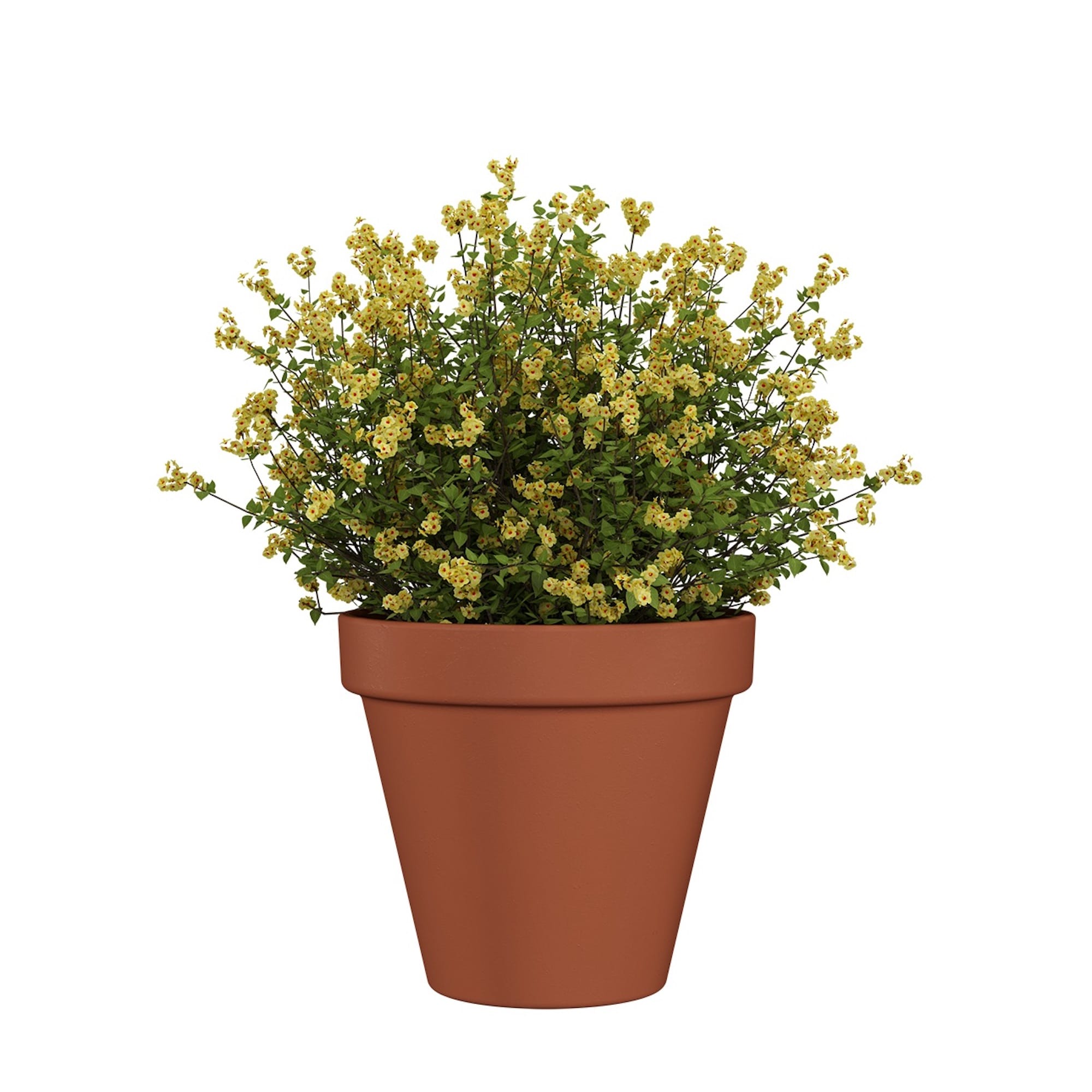 fbd7cf63f0aaa2893db942b4f1b17841