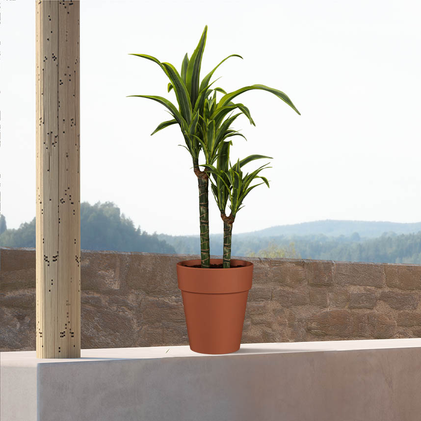 cce825c5201325f5d81f716e18ffe791