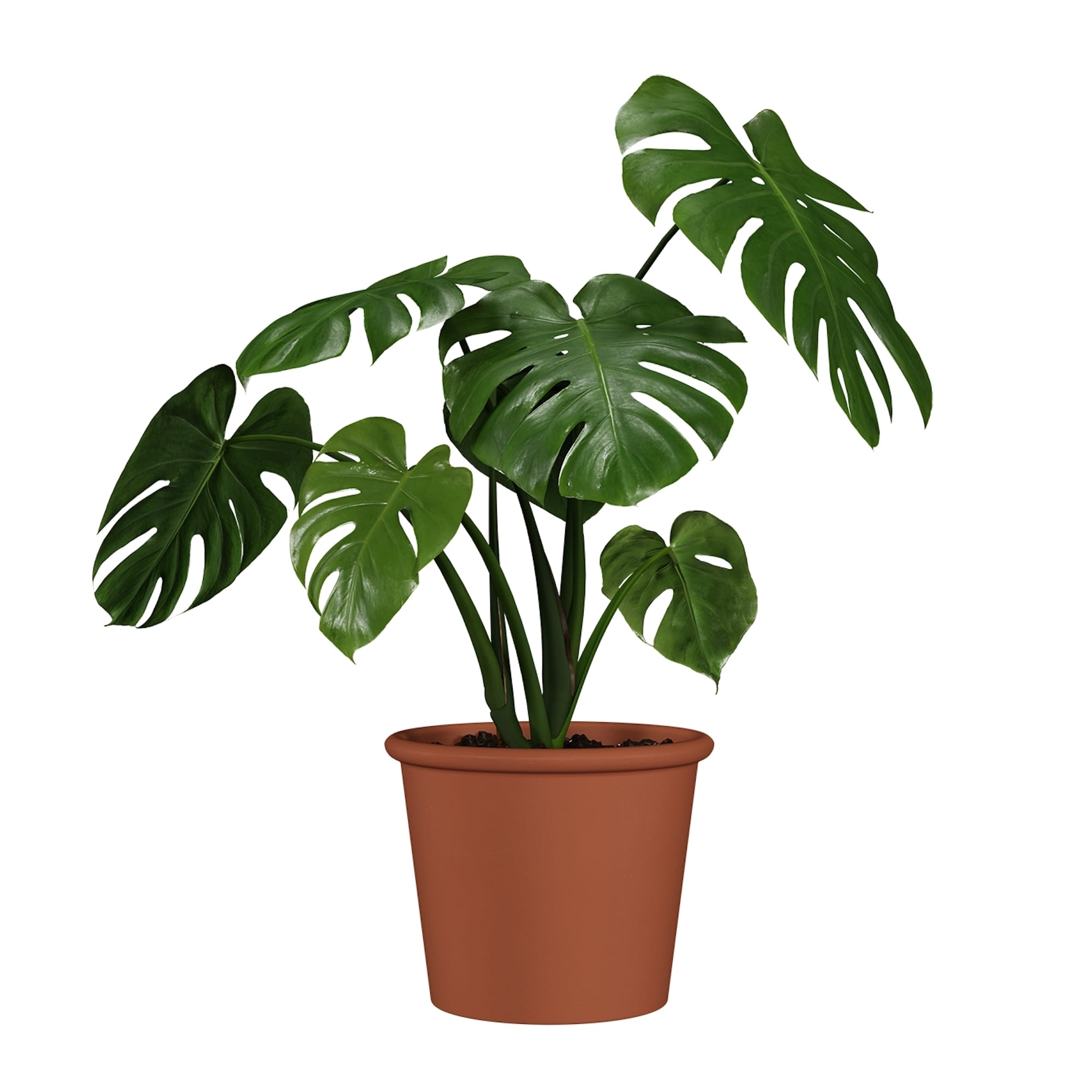 6a9f667a7de47990172595b258349d27