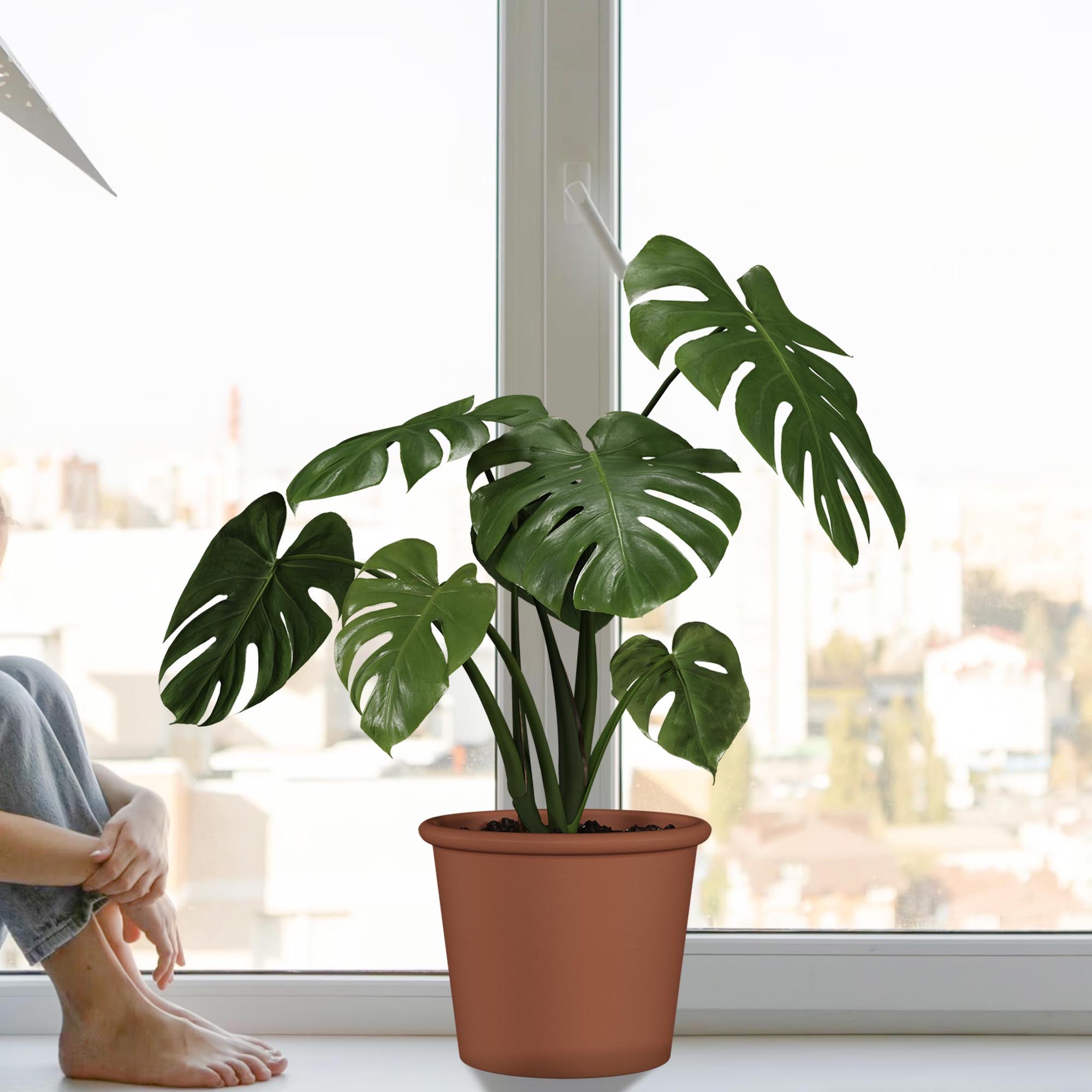 bdb329995c395e35b95e64116c1532eb