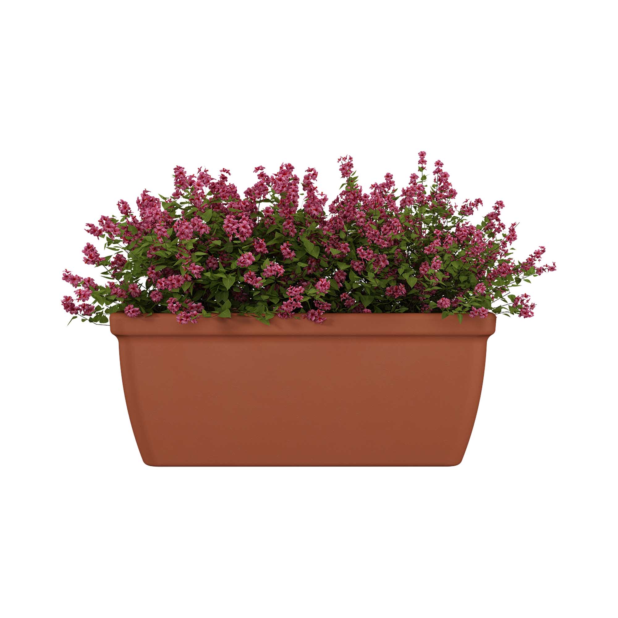 7b2367e678a2908ae746b9353a28f0e1