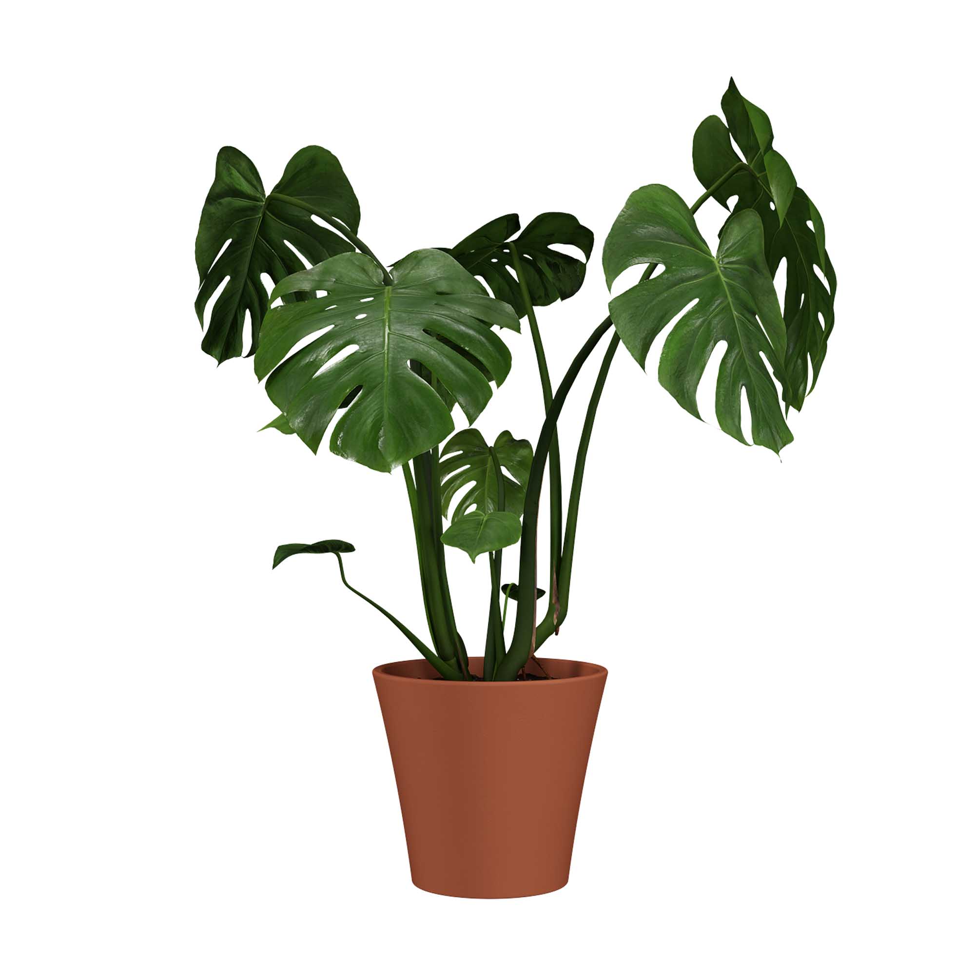 36eb2977cb972e6c0d41d2ed0611294b