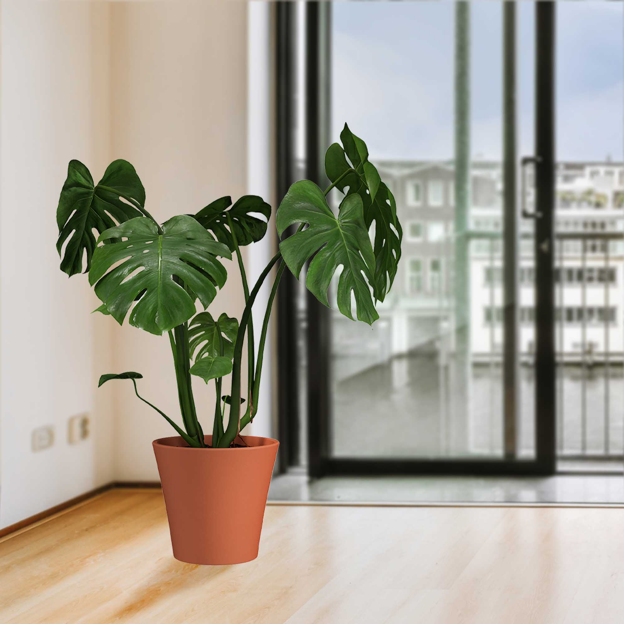 e93fb0d2e253b5be2f66bb6daf27a904