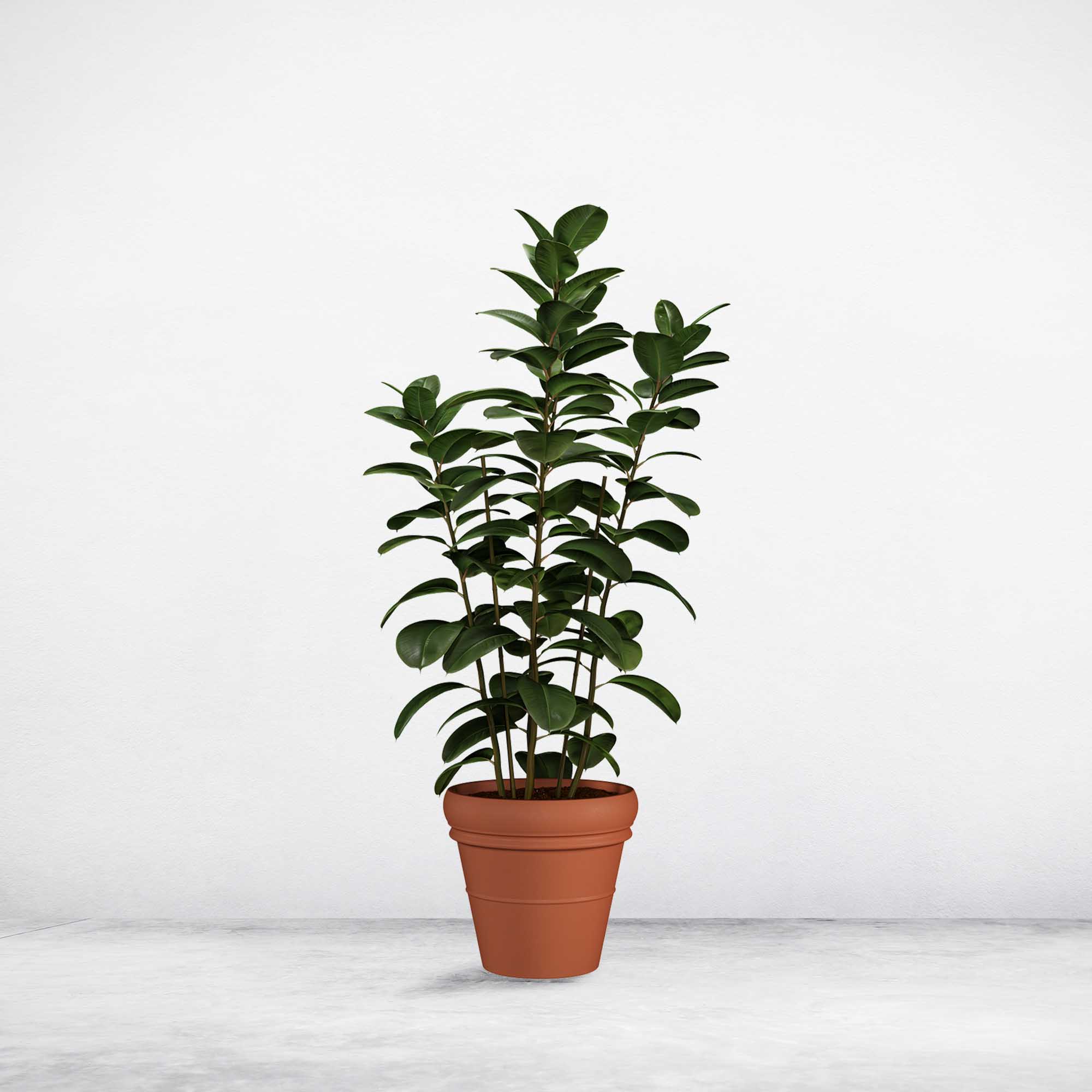 8ef1135bcd7409bab3c3f8961e36fe57