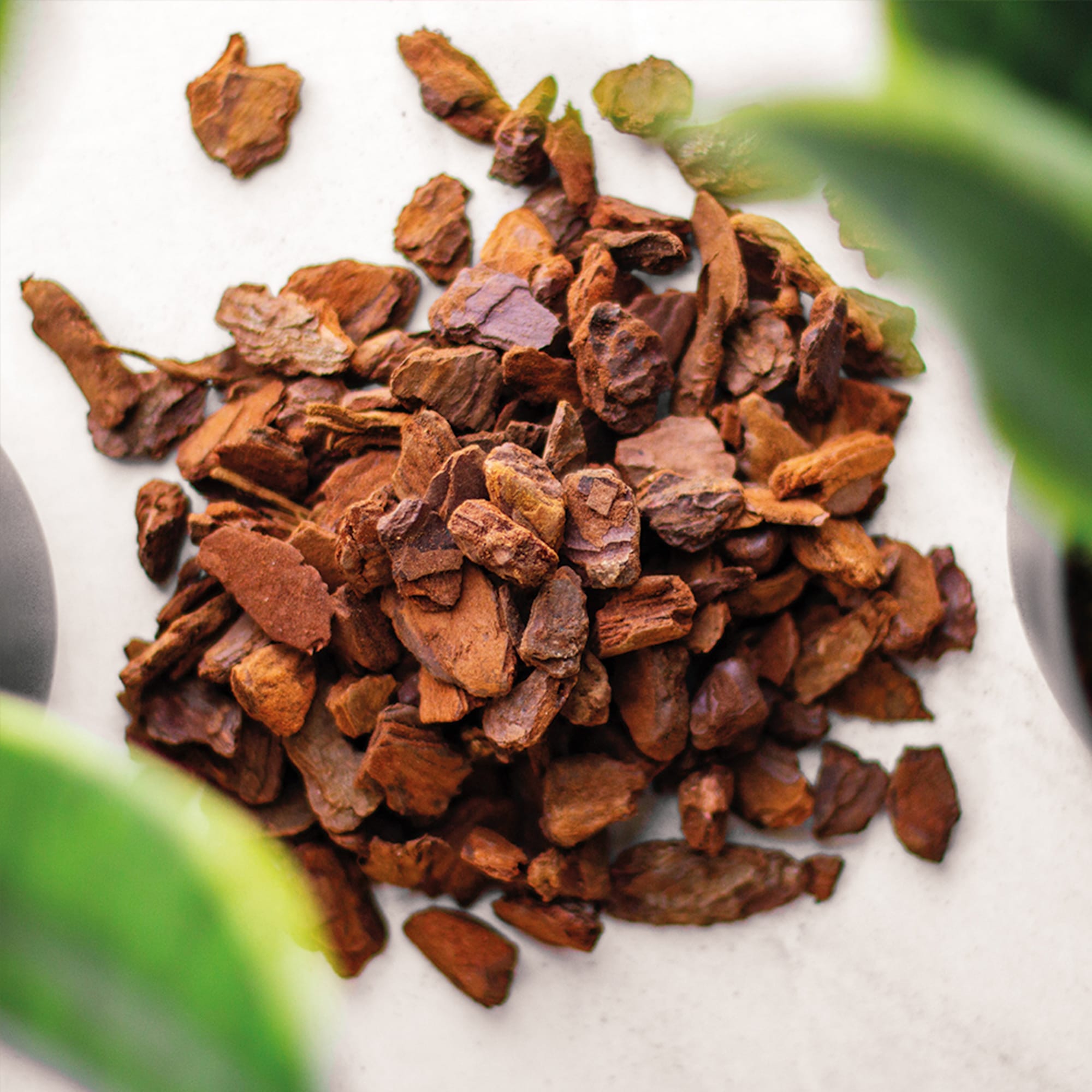 430fb1d7f8b03072fe0f0ed4e9f43fb3