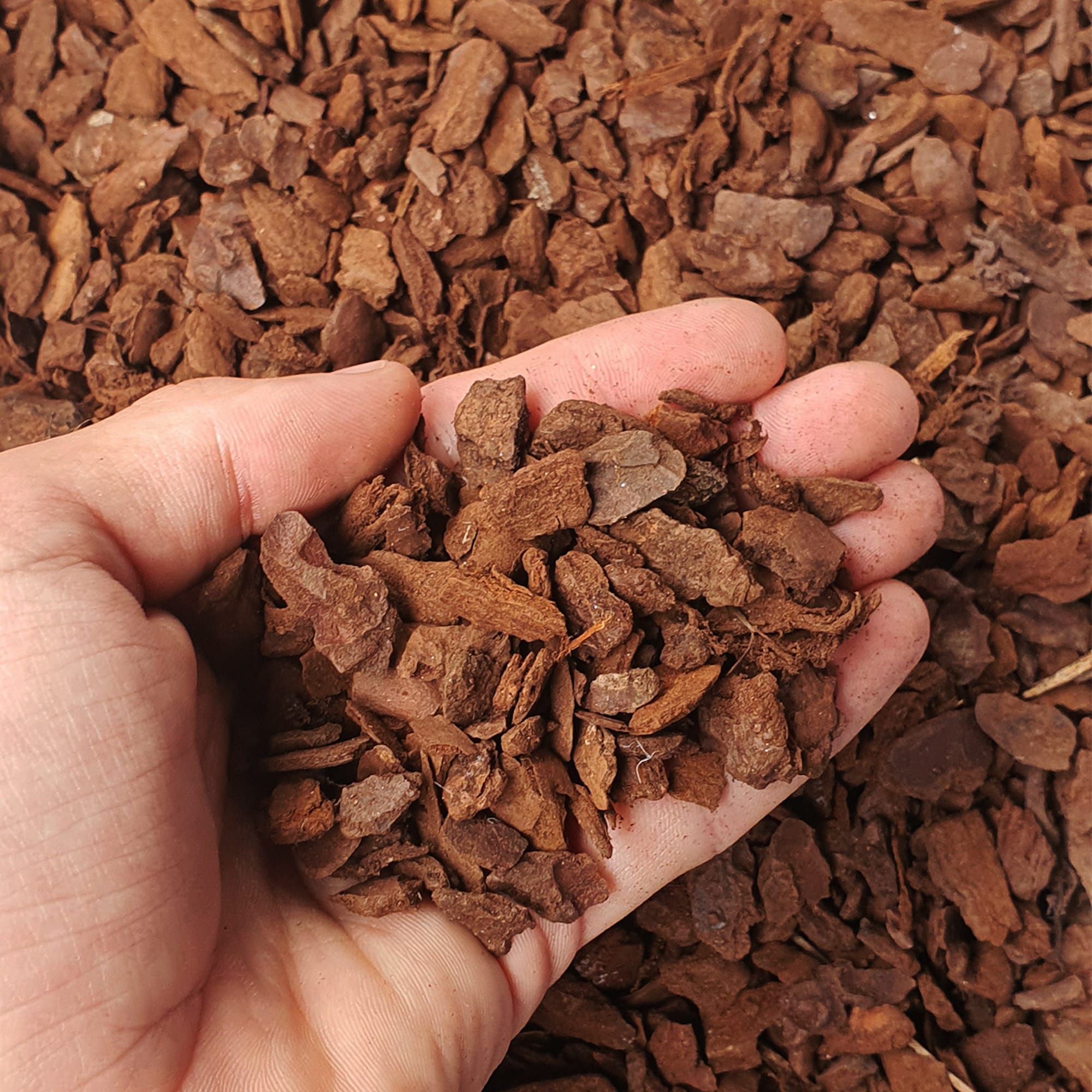 8c61e9ed31a557f082f1974390a5e3a8