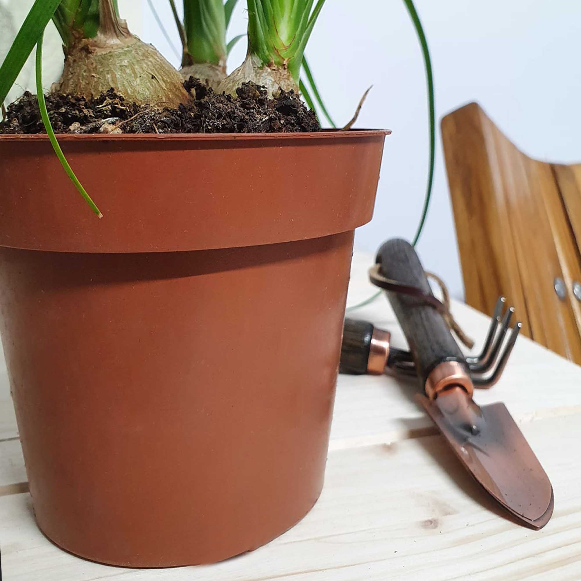 cb031486ed99ccfbcac503eb1d7e2225