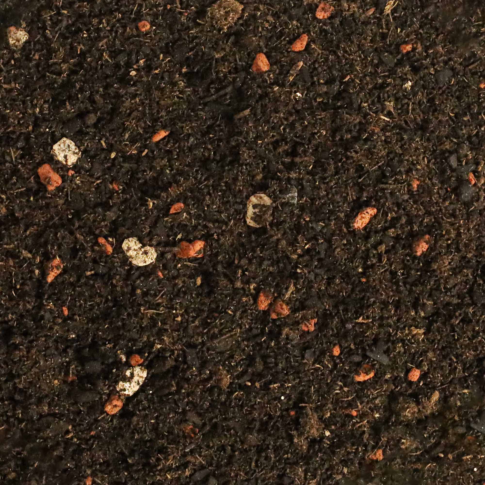 922cf63999c1465d25a5663cfffdf5e0