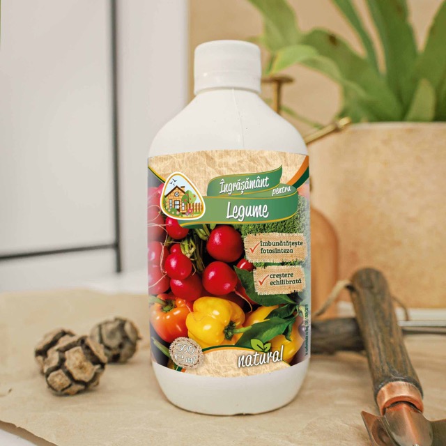 81a1847366a6ca4ca91dd69ab40a4d51