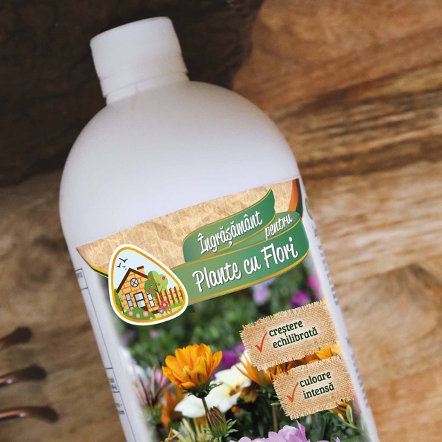 5137fd4bdf49bc67c9ecdde6c4eef826