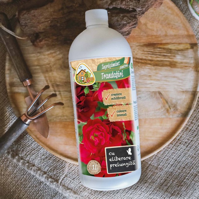 1cb69702565b78e21b9e68f58132a961