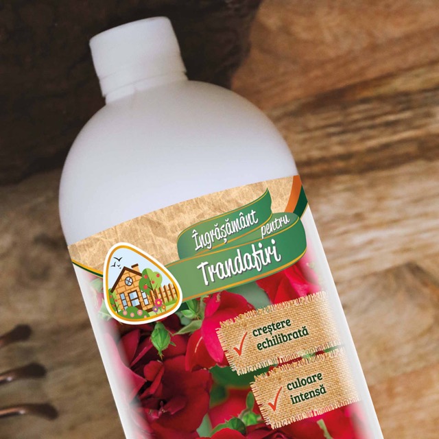 b8df106e8bd2dead7026db8a5f3127d2