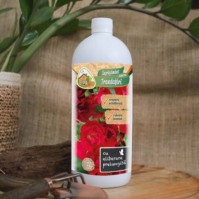 19ebe76436f1cc496f909e0e790ba090