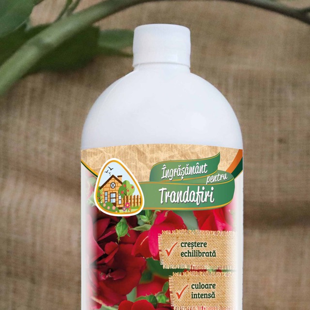 c28d12070ef24800cbe5d90df5ec8501